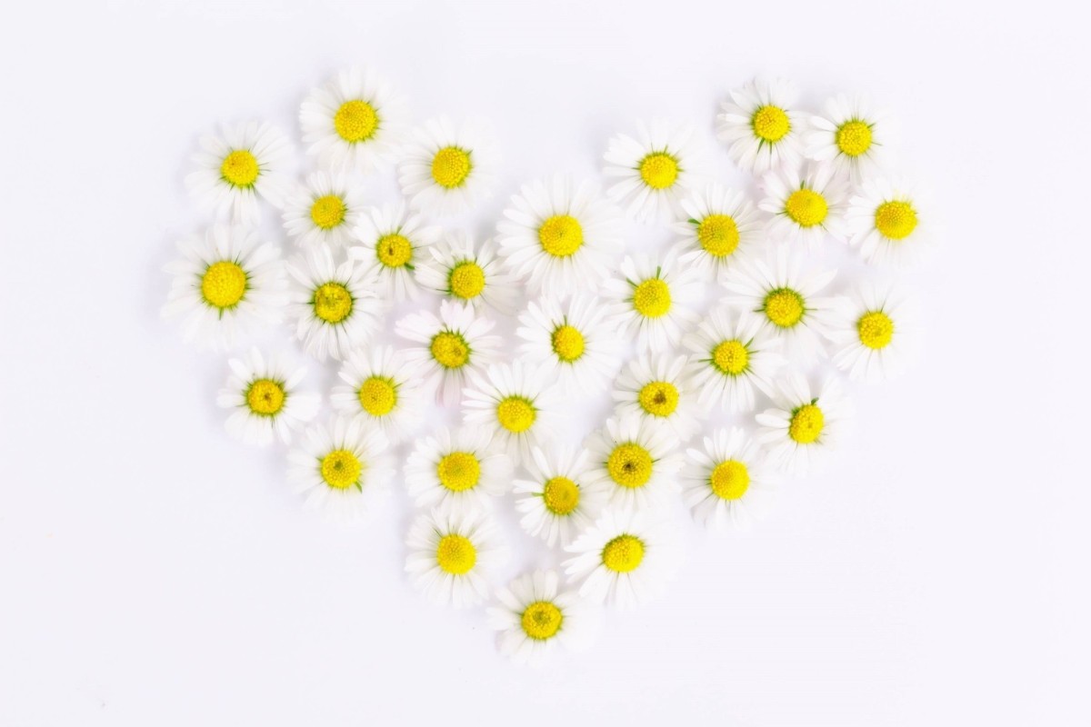 The Daisy Award